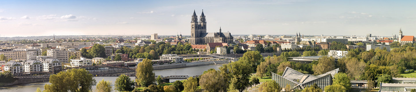 Stadtpanorama Magdeburg am Fluss